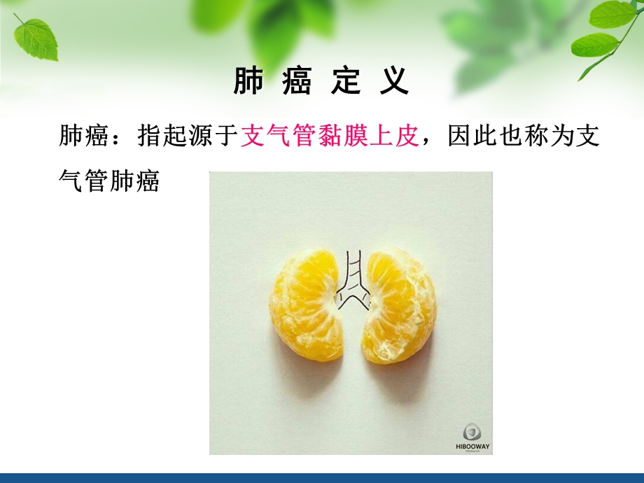 肺癌病人的护理ppt课件.ppt_第3页