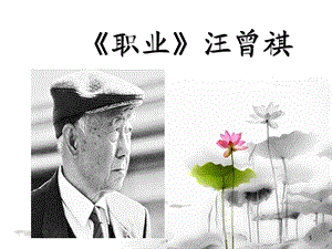 职业(汪曾祺)ppt课件.ppt