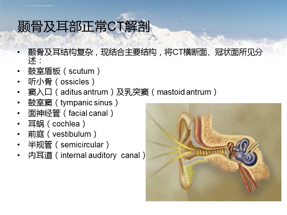 耳部常见疾病ppt课件.ppt_第3页