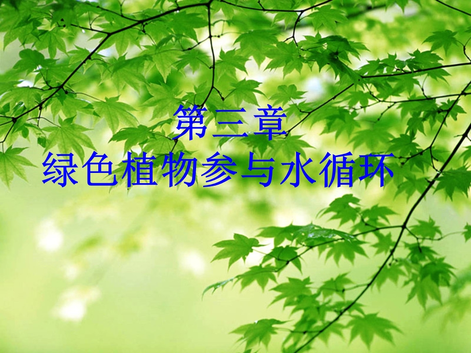 绿色植物与生物圈的水循环复习(人教版)课件.ppt_第1页