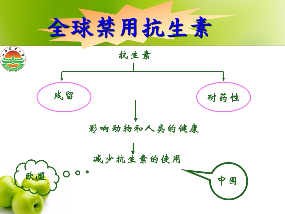 第四章 非营养性添加剂(饲料酸化剂)ppt课件.ppt_第3页