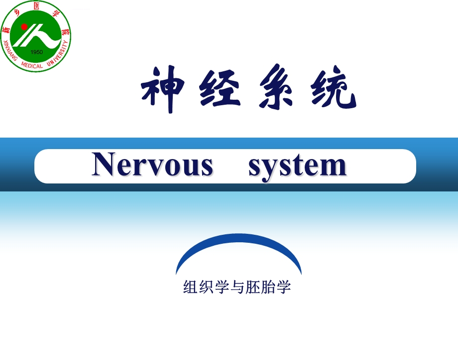 组织学与胚胎学第8章 神经系统ppt课件.ppt_第2页