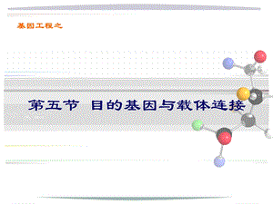 第二章目的基因连接及导入ppt课件.ppt