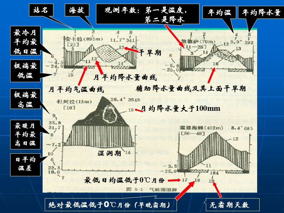 热带雨林植被ppt课件.ppt_第3页