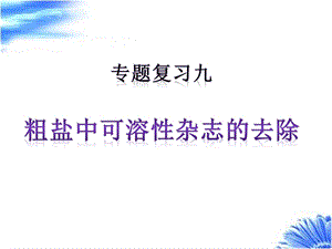 粗盐中可溶性杂质的去除专题ppt课件.pptx