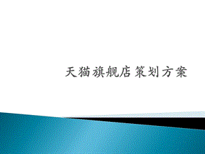 网店基本架构策划方案以天猫为例ppt课件.pptx