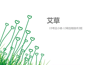 艾草(艾蒿)的介绍ppt课件.ppt