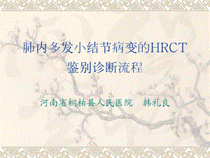 肺内多发小结节病变的HRCT鉴别诊断流程ppt课件.ppt