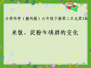 米饭、淀粉和碘酒的变化ppt课件.ppt