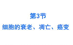 细胞的凋亡衰老癌变ppt课件.ppt