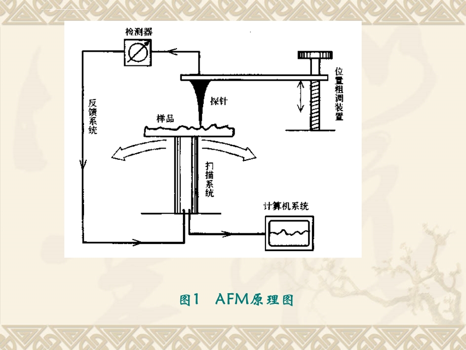 第五章原子力显微镜ppt课件.ppt_第3页