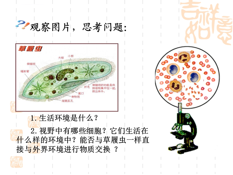 细胞生活的环境ppt课件（新人教版必修3）.ppt_第3页