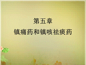 第五章镇痛药和镇咳祛痰药 药物化学ppt课件.ppt