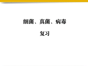 细菌和真菌复习总结ppt课件.ppt