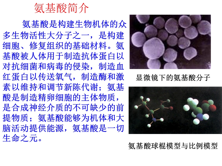 羧酸氨基酸和蛋白质第三课时ppt课件.ppt_第3页