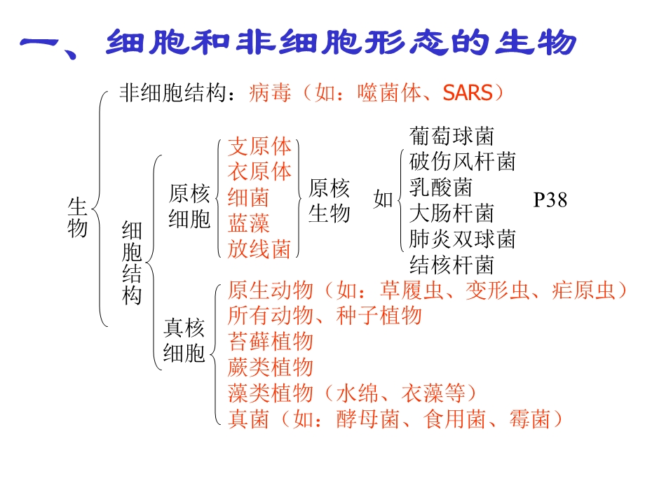 细胞的结构和功能13 优秀ppt课件.ppt_第2页