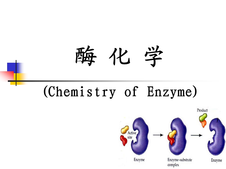 生物化学酶化学PPT课件.ppt_第1页