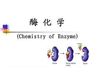 生物化学酶化学PPT课件.ppt