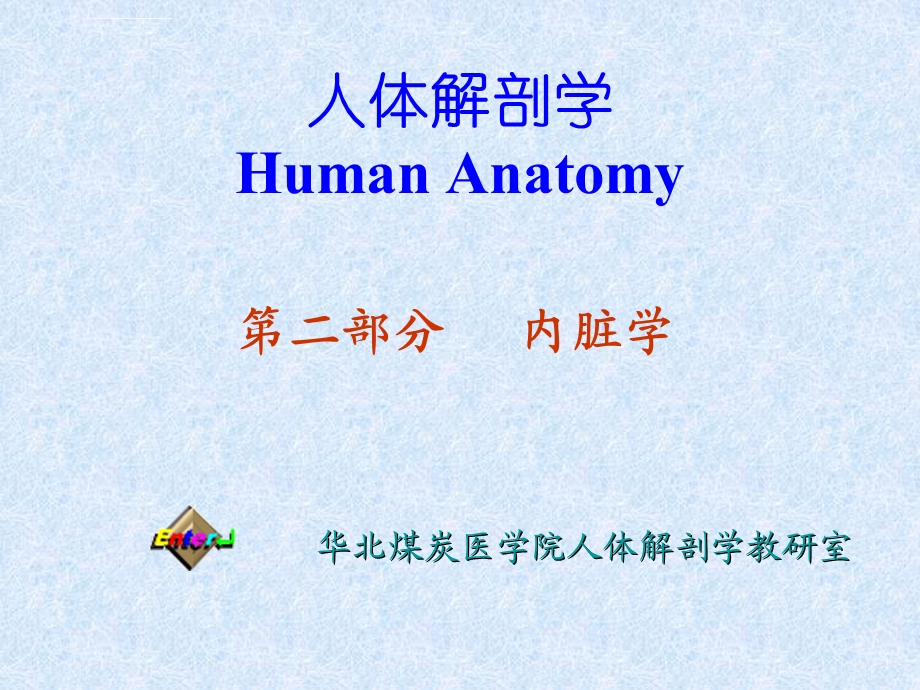 系统解剖学内脏学ppt课件.ppt_第1页