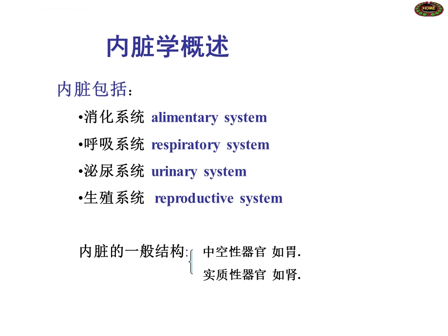 系统解剖学内脏学ppt课件.ppt_第3页