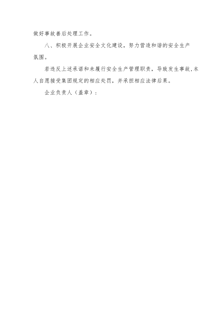 企业主要负责人安全生产承诺书.docx_第2页