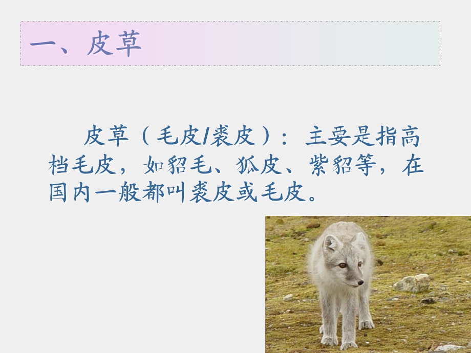 第二讲皮革与皮草ppt课件.ppt_第2页