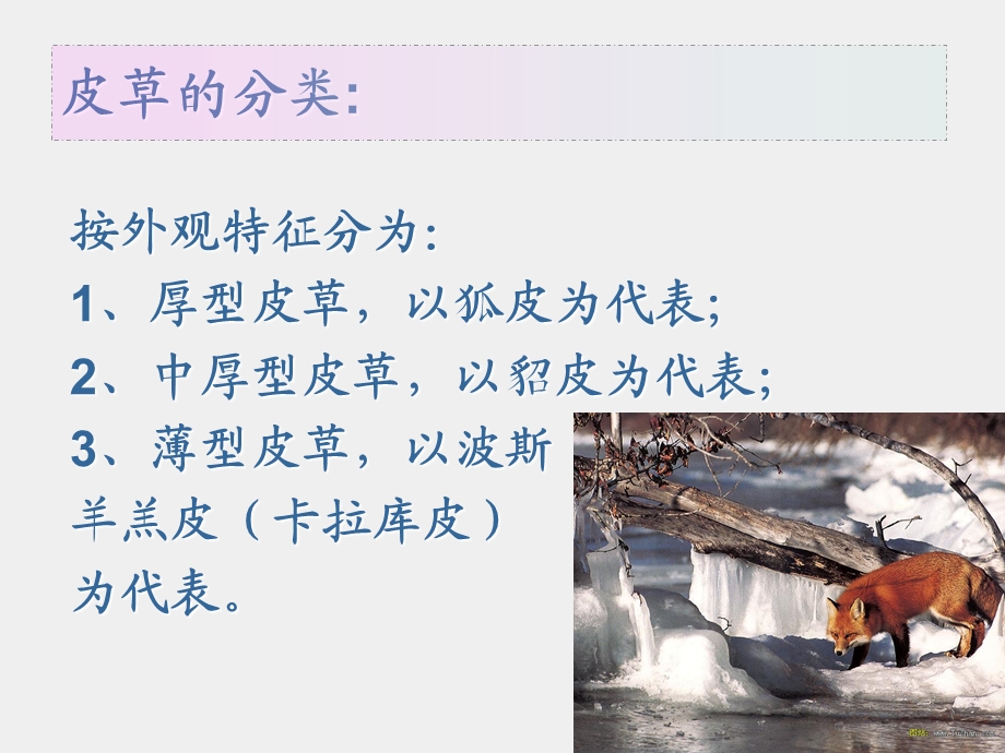 第二讲皮革与皮草ppt课件.ppt_第3页