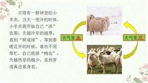 第八课 动物的换毛与换羽 ppt课件.pptx