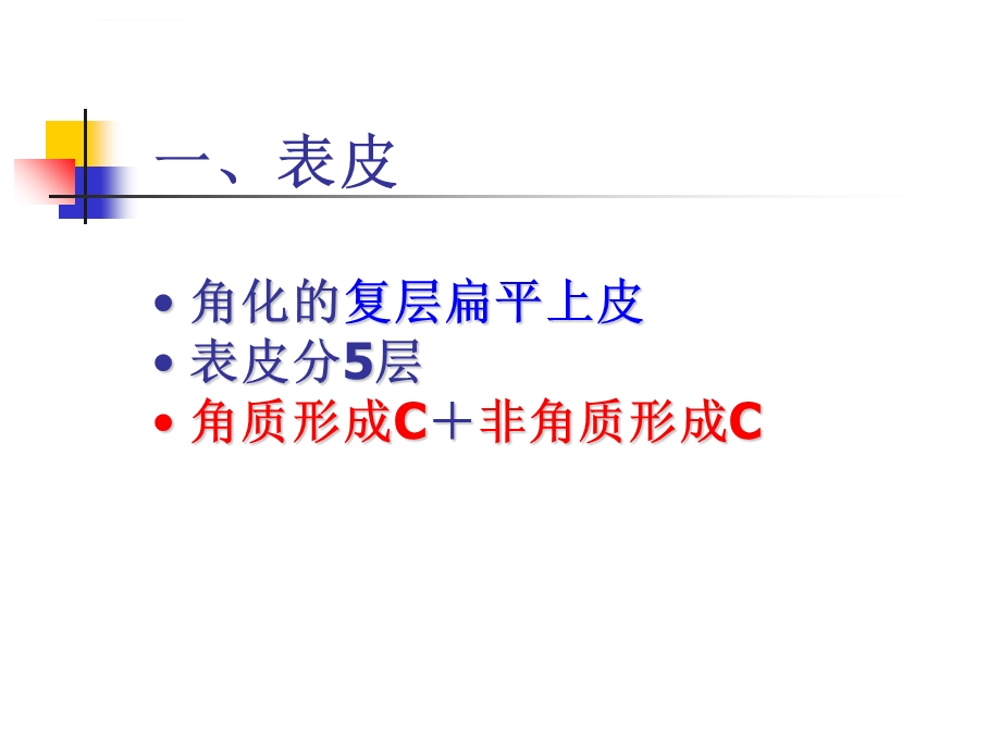 组织胚胎学ppt课件 皮肤.ppt_第3页