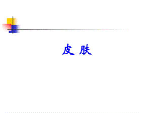 组织胚胎学ppt课件 皮肤.ppt