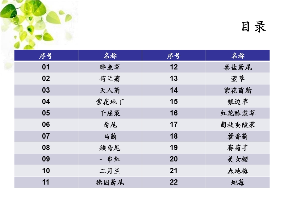 耐盐碱地被植物归纳 22种ppt课件.ppt_第2页