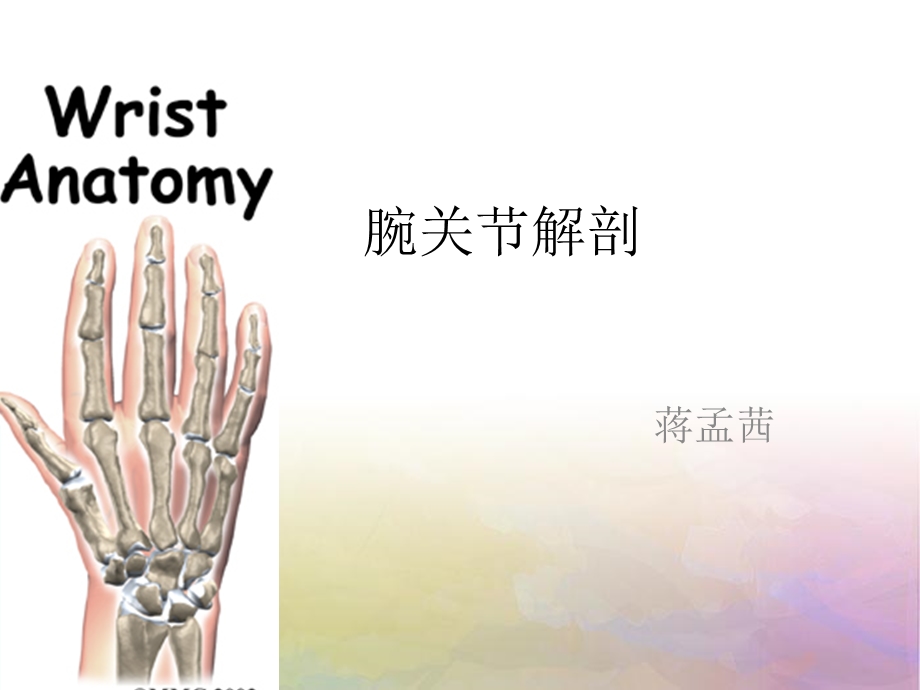 腕关节 解剖ppt课件.ppt_第1页