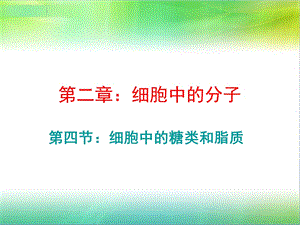 细胞中的糖类和脂质 ppt课件.ppt