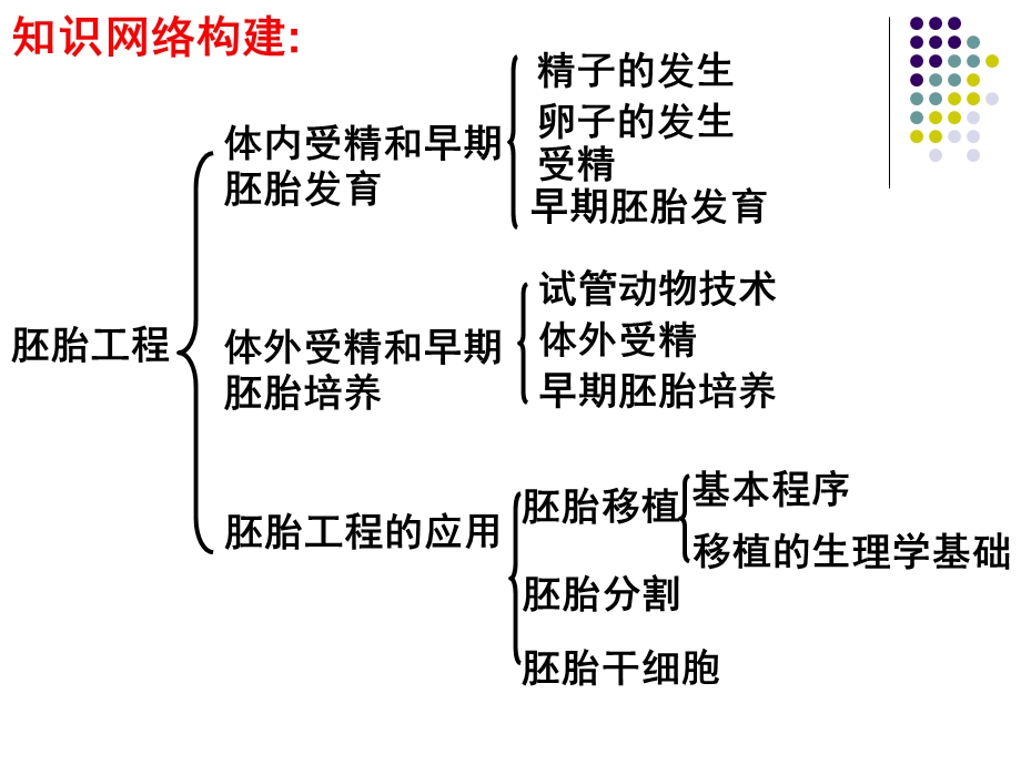 胚胎工程一轮复习ppt课件.ppt_第2页