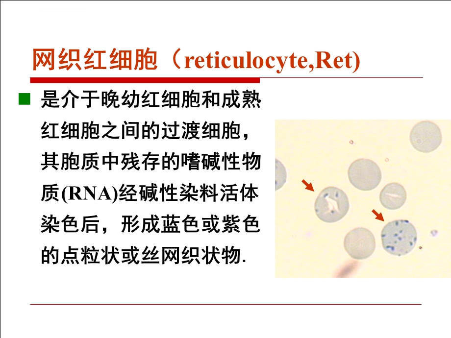 网织红细胞计数ppt课件.ppt_第3页