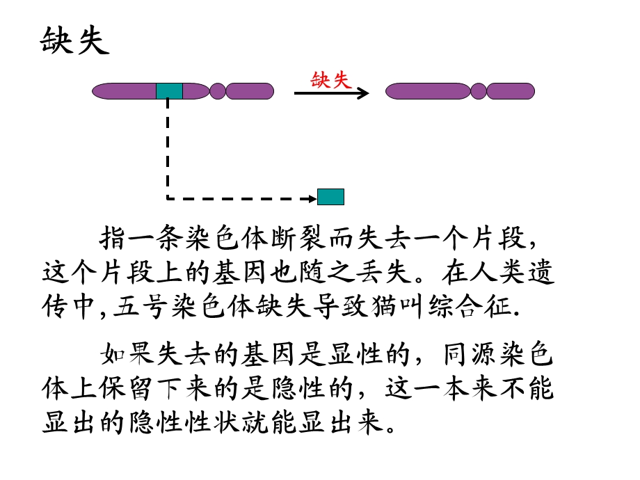 花药离体培养ppt课件.ppt_第2页