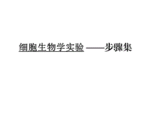 细胞生物学实验 ——步骤集ppt课件.ppt