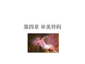 第四章+审美符码ppt课件.ppt