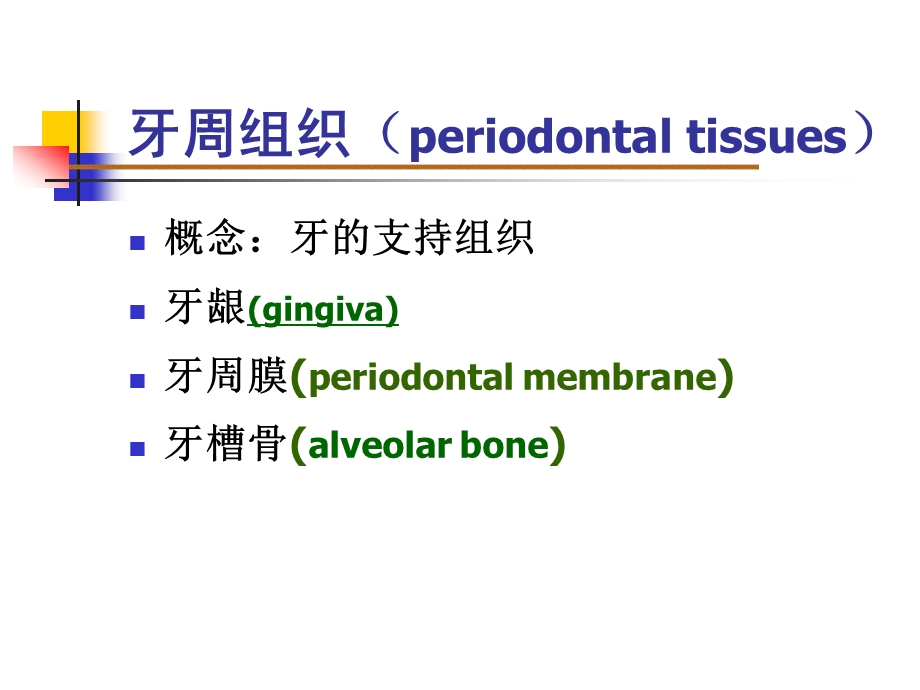 第四章 牙周组织ppt课件.ppt_第2页