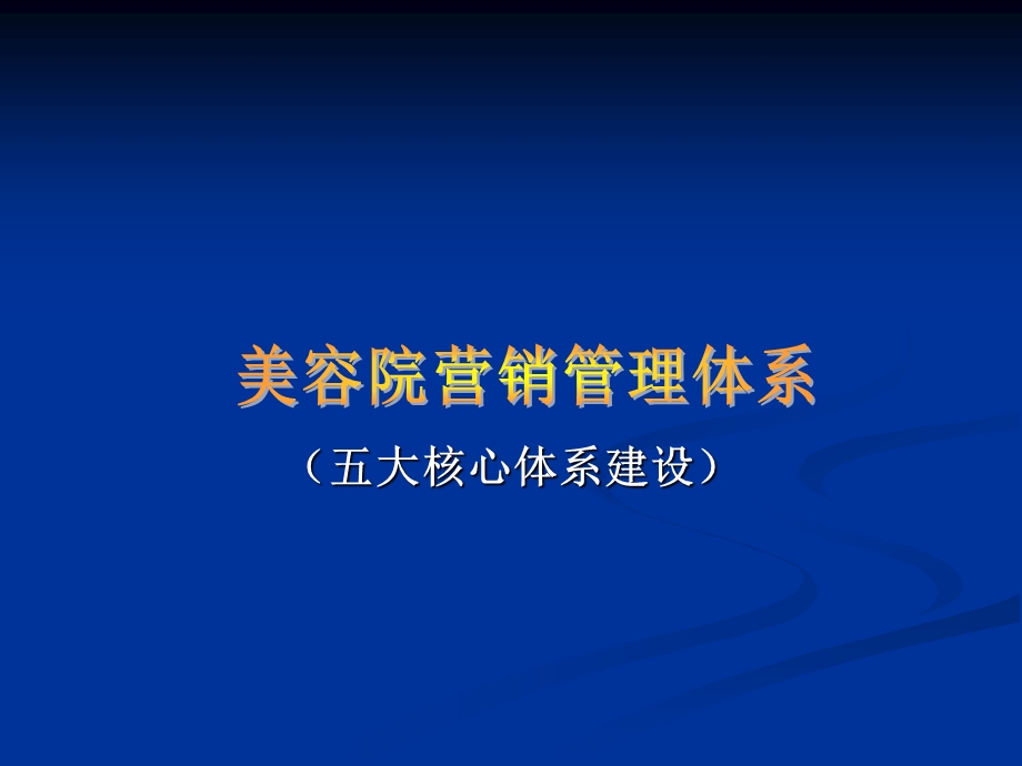 美容院营销管理系统课件.ppt_第1页