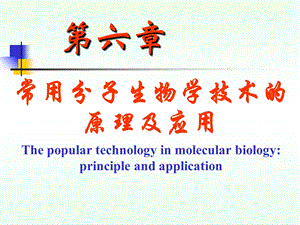 第六章 常用分子生物学技术的原理及应用ppt课件.ppt