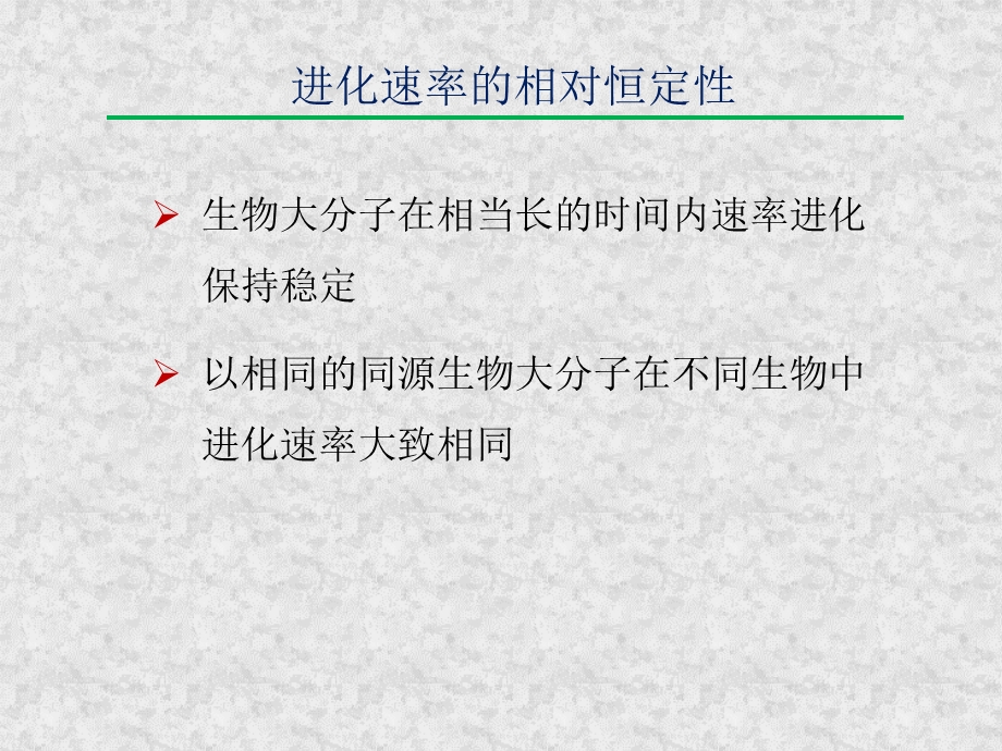 第五章分子进化和系统发生ppt课件.pptx_第3页