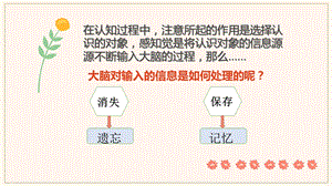 第五章 幼儿的记忆(一)ppt课件.pptx