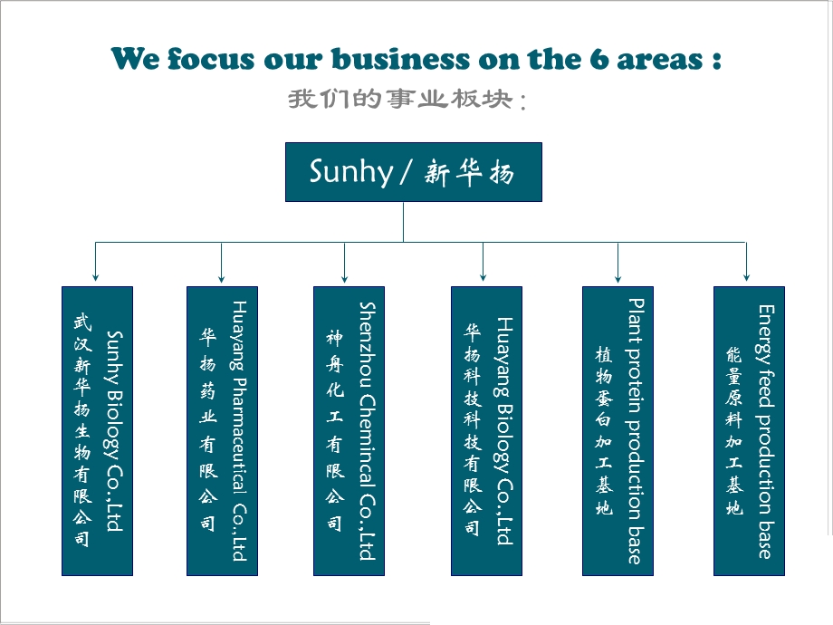 耐热植酸酶课件.ppt_第2页