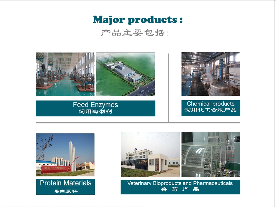 耐热植酸酶课件.ppt_第3页