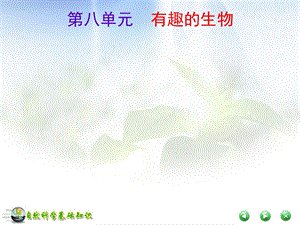 自然科学基础知识08有趣的生物部分ppt课件.ppt