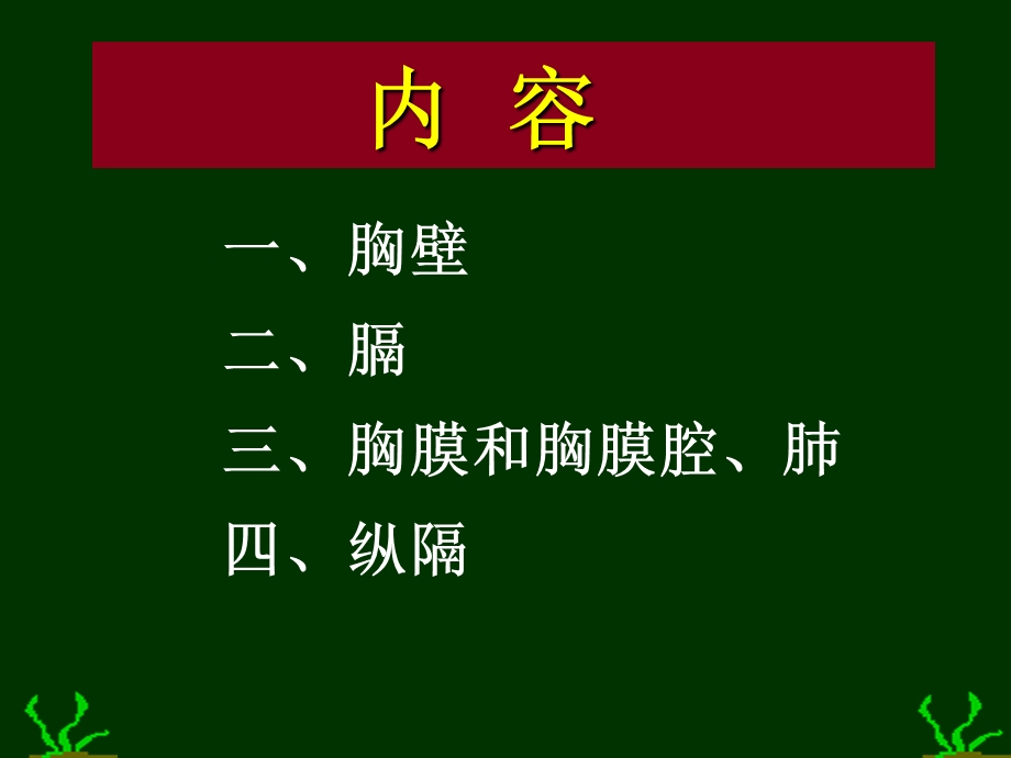 胸部解剖 图谱ppt课件.ppt_第2页