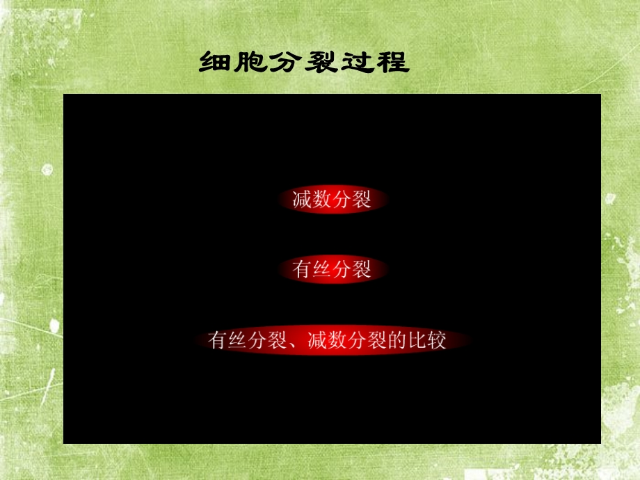 细胞增殖ppt课件.ppt_第3页