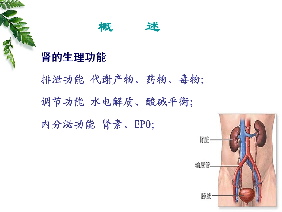 第八版病理生理学第十六章 肾功能不全ppt课件.ppt_第3页