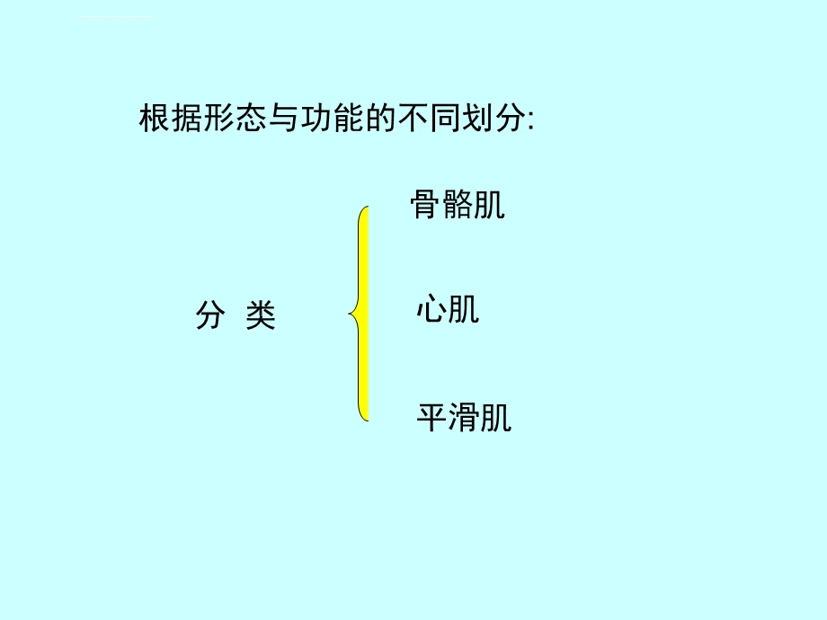 组织胚胎学ppt课件 肌组织.ppt_第3页